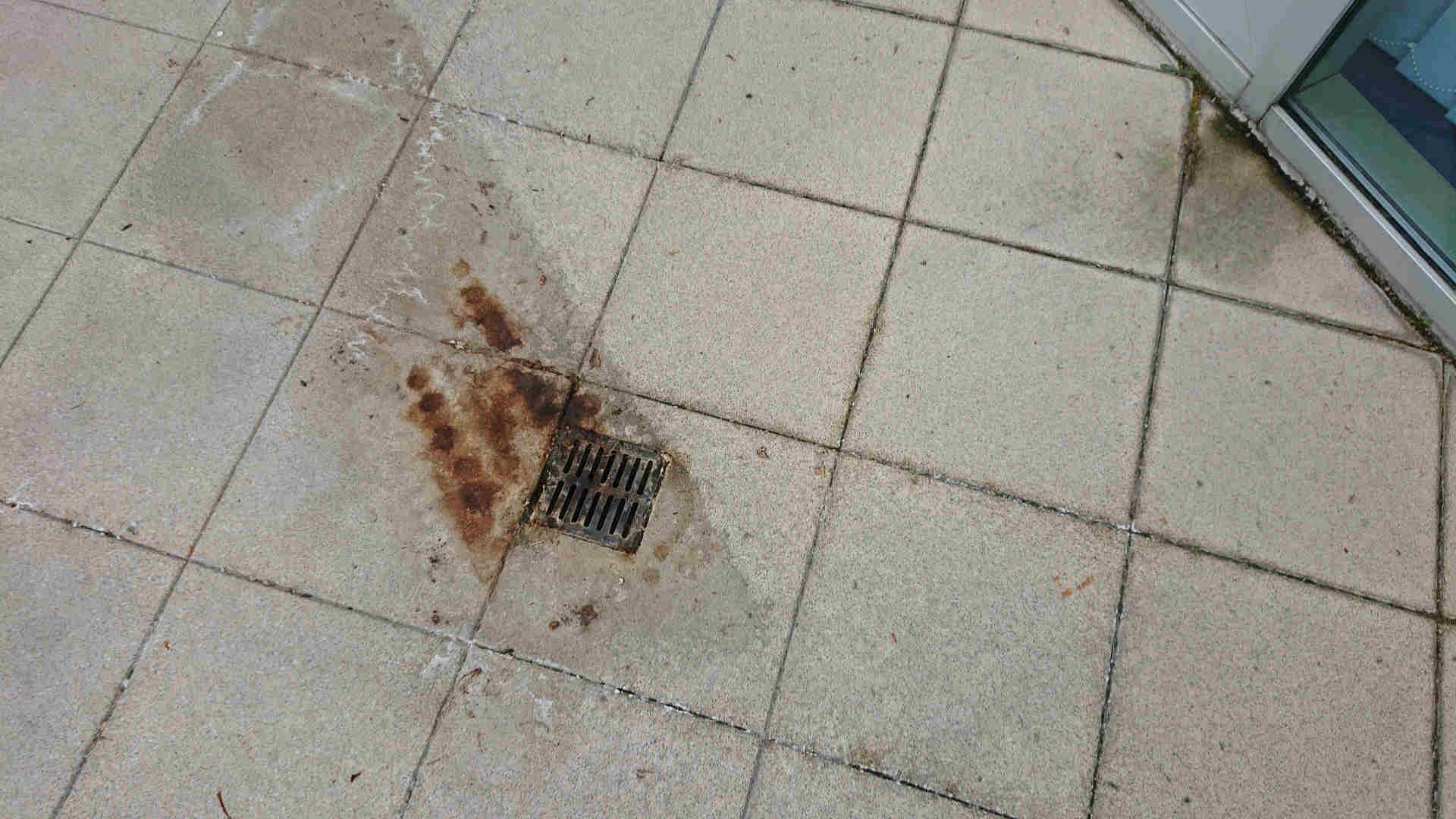 Betonplatten reinigen Herbert Koller Tel: 08422-37 199 07