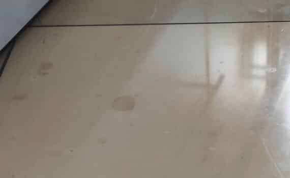Fettflecken bei Solnhofener Platten
