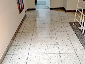 Fliesen reinigen und polieren in Walsrode