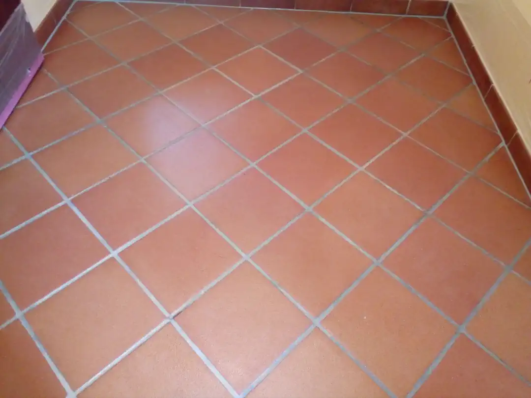 Terracotta reinigen Hannover