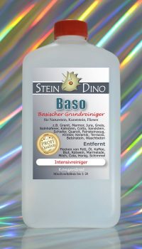 SteinDino Baso