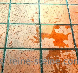 Terracotta richtig pflegen