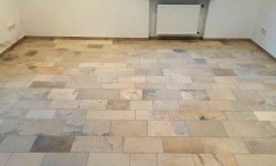 SteinDino® 14 Solnhofener mit Baso gereinigt