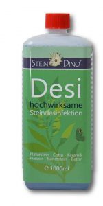 SteinDino-Desi