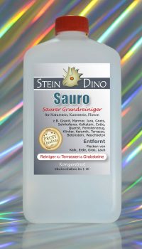 SteinDino Sauro